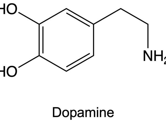 幸せ三大ホルモン「ドーパミン」も増やして、ココロの健康を！